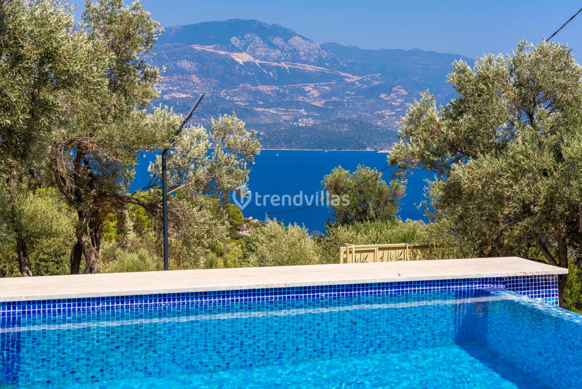 Villa Olive Muarkürü