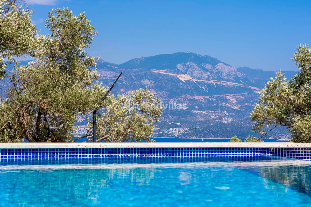 Villa Olive Muarkürü