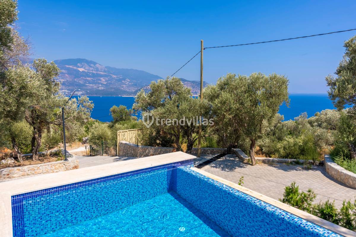 Villa Olive Muarkürü