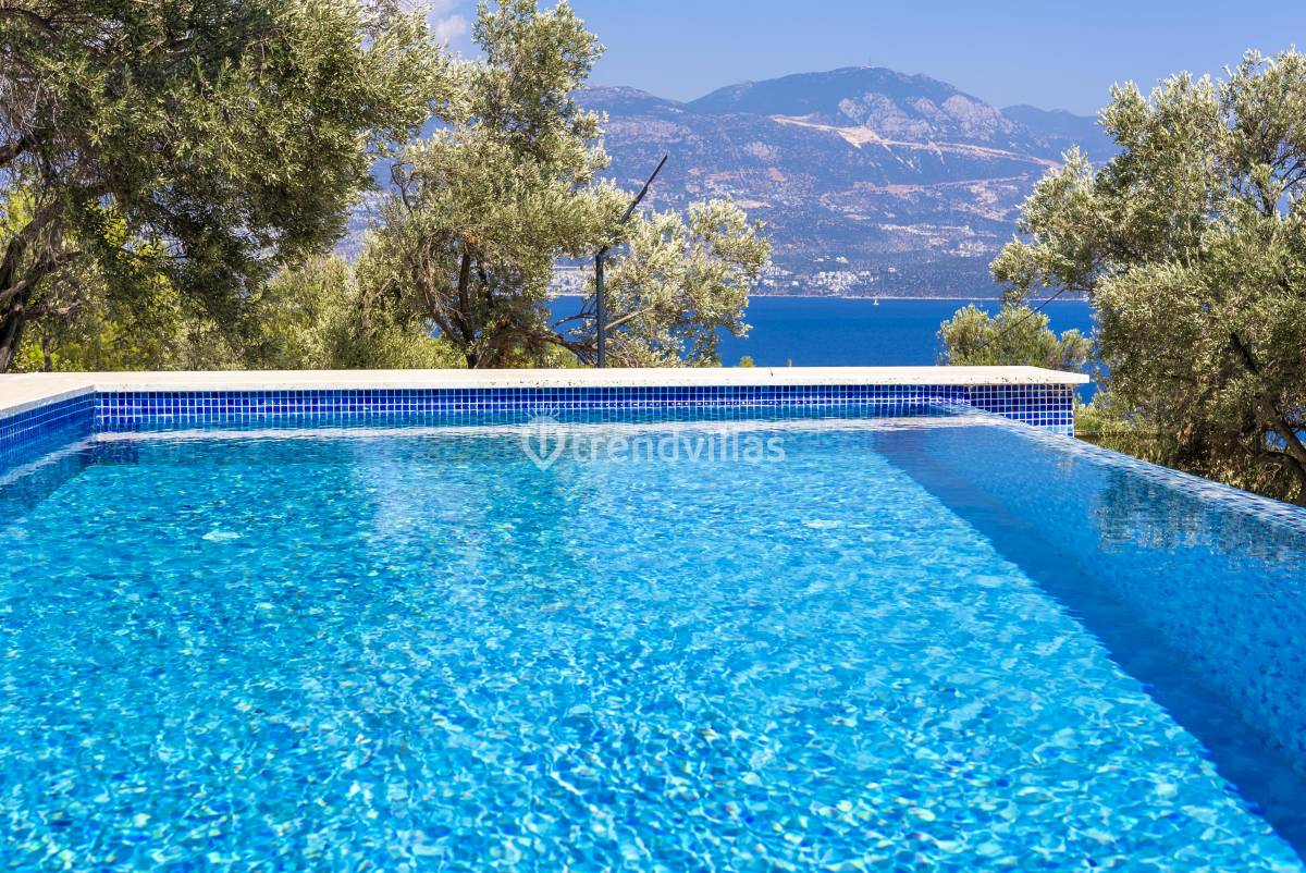 Villa Olive Muarkürü
